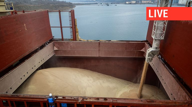 Direct - Guerre en Ukraine : l'Ukraine a commencé à exporter ses céréales via les ports croates