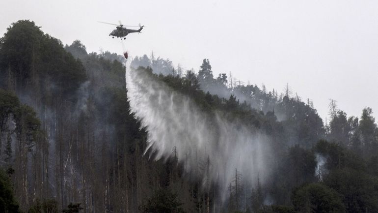 Les feux de forêt en République tchèque et en Allemagne continuent de s'étendre