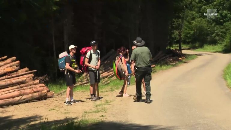 Vague de chaleur : la prévention des feux de forêt en Wallonie, un enjeu crucial pour la région de Saint-Hubert