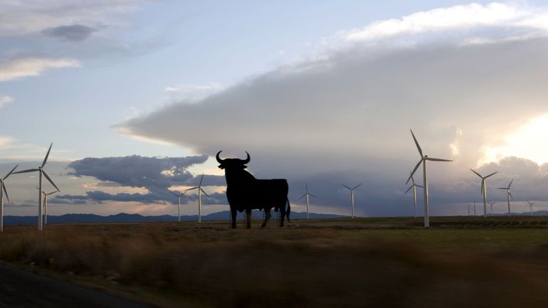 Transition énergétique : l'Espagne s'engage à produire 81% d'électricité d'origine renouvelable en 2030