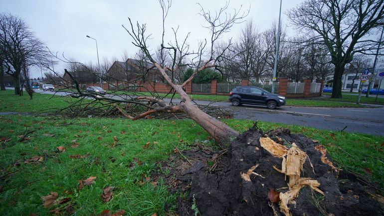 Tempête Darragh : coupures d'électricité et trafic ferroviaire perturbé aux Royaume-Uni, plusieurs départements français en vigilance orange