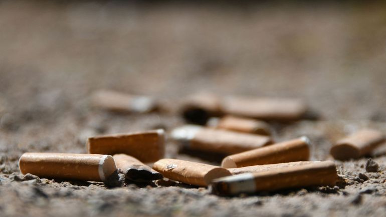 Bruxelles : plus de 800 procès-verbaux dressés pour mégots de cigarette jetés par terre