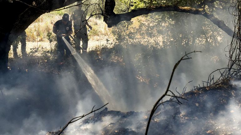Chypre : la Grèce et la Jordanie aident Nicosie à lutter contre un important incendie