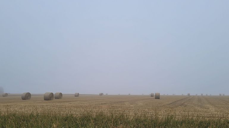 Météo en Belgique : nuages pour les uns, éclaircies pour les autres ce dimanche