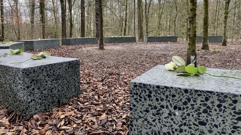 Voilà à quoi ressemble le monument en mémoire aux victimes du Covid inauguré ce mercredi à Bruxelles