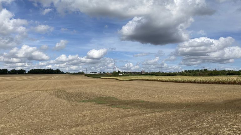 La Ville de Namur achète 10 ha de terres agricoles