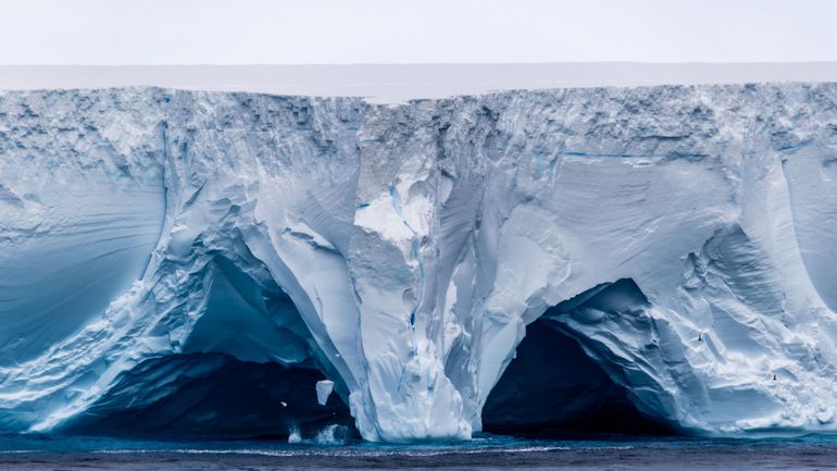 Le plus grand iceberg du monde, 30 fois plus grand que Paris, continue de dériver. Où finira-t-il sa course ?