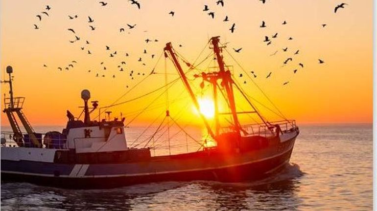 Après les agriculteurs, les pêcheurs belges aussi crient leur mécontentement