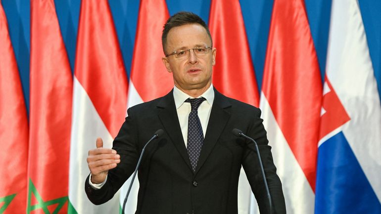 Guerre en Ukraine : la Hongrie et la Croatie signent un accord pour la livraison de pétrole