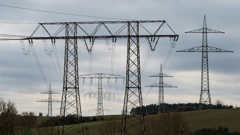 En Allemagne, les réseaux d'électricité verte créent de hautes tensions dans une réserve de biodiversité