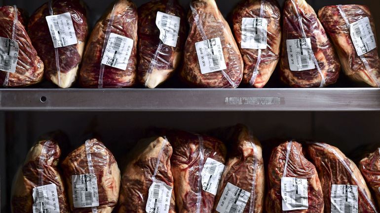 Argentine : reprise progressive des exportations de viande