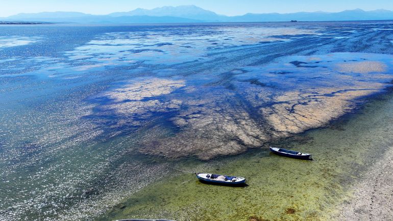 Après un été caniculaire, la Turquie éprouve sa pire sécheresse en un demi-siècle