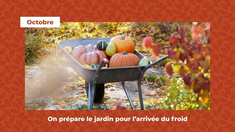 Que faire au jardin et au potager en octobre ? 4 idées originales et faciles à réaliser