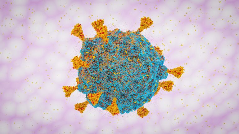 Coronavirus : le variant Omicron ne rend pas les patients gravement malades pour l'instant, selon les médecins sud-africains