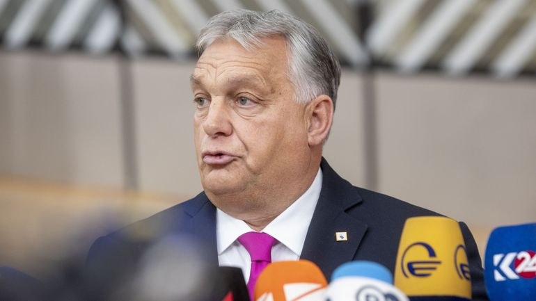 Changement de style à la tête de l'Europe : la Hongrie succède à la Belgique à la présidence du Conseil de l'UE