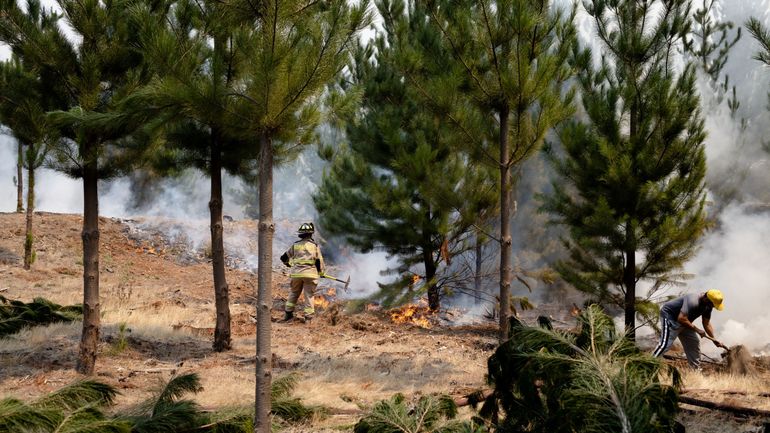 Les incendies au Chili menacent d'autres régions
