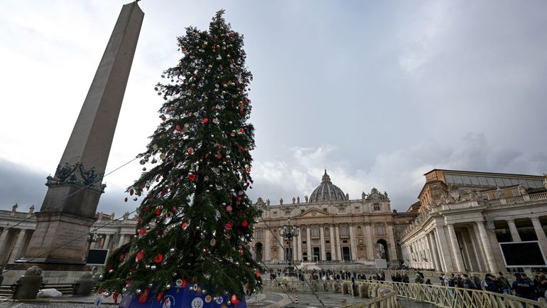 Un sapin abattu en Italie pour décorer la place du Vatican malgré les protestations des défenseurs de l'environnement