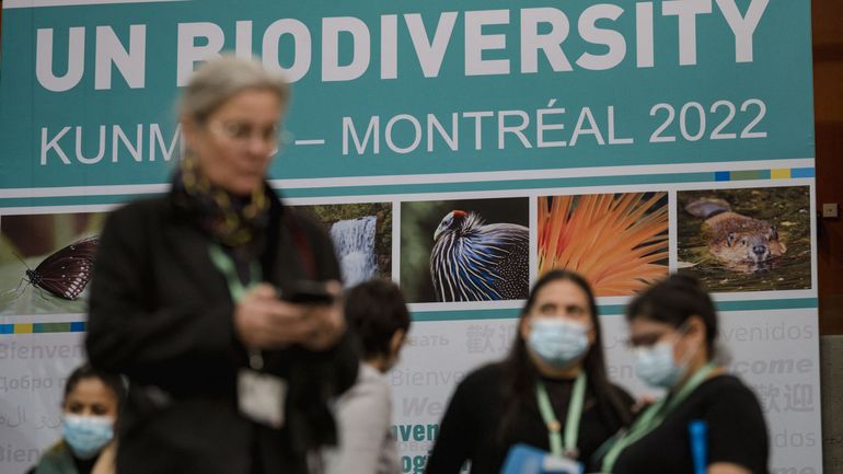 Cop 15 : un accord historique sur la biodiversité approuvé à Montréal