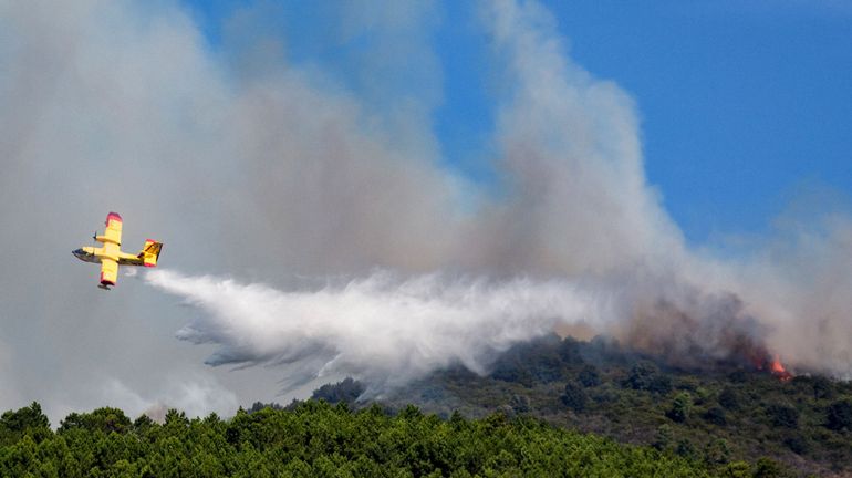 Un parc national dans le sud de l'Italie appelle à l'aide pour lutter contre les incendies