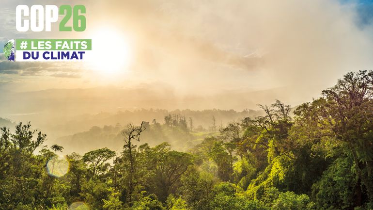 COP26 : pacifique et écoresponsable, le Costa Rica serait-il le modèle à suivre pour sauver la planète ?