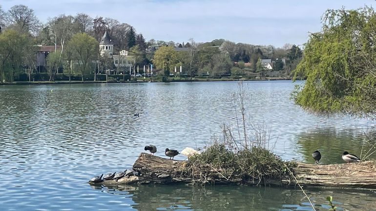 le yacht club de genval