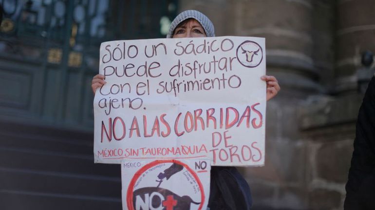 Tauromachie : les corridas seront bien suspendues à Mexico