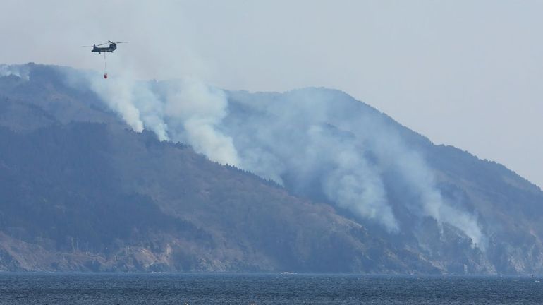 Japon : le nord-est du pays ravagé par son pire feu de forêt depuis 1992