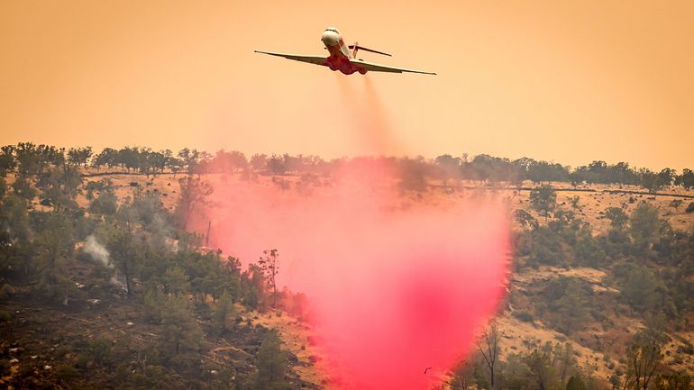 Etats-Unis : le feu de forêt dans le nord de la Californie devient l'un des plus grands de l'histoire du 