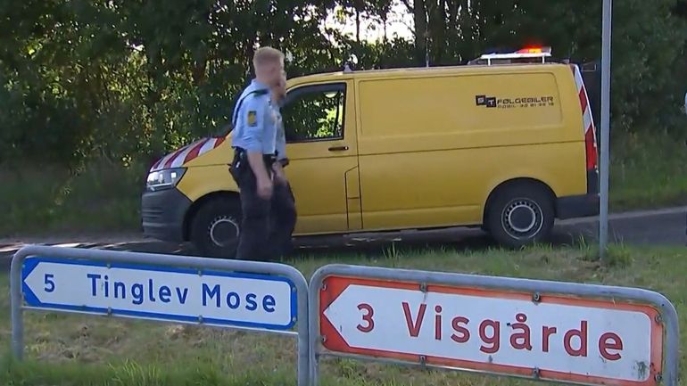 Danemark : un mort et plusieurs blessés dans un accident entre un train et un véhicule agricole