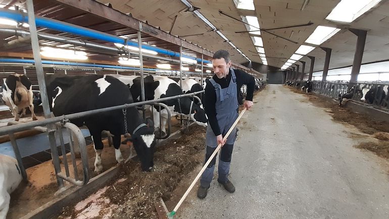 L'alimentation des 650 têtes que compte la coopérative est précisée dans un cahier de charge drastique
