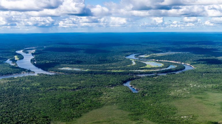 La déforestation de l'Amazonie au Brésil a baissé d'un tiers au premier semestre