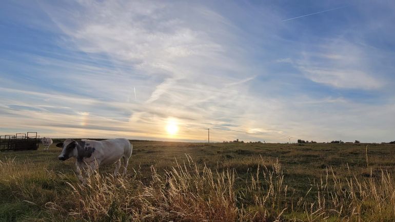 Météo en Belgique : ce mercredi s'annonce lumineux malgré les voiles d'altitude