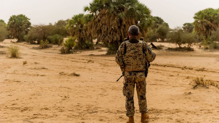 Un Casque bleu de l'Onu gravement blessé dans une attaque au Mali