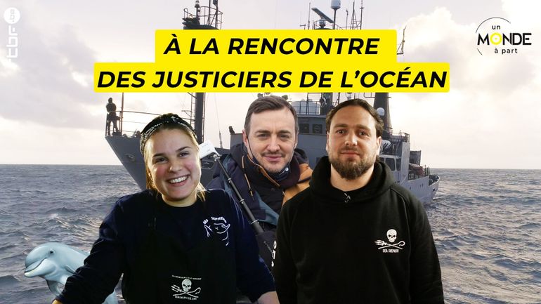 À la rencontre des justiciers de l'océan