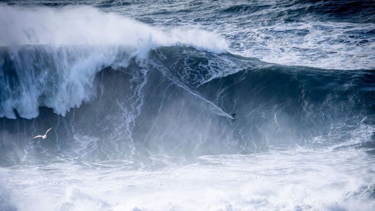 Sebastian Steudtner a-t-il surfé, à Nazaré, la plus grosse vague de tous les temps ?