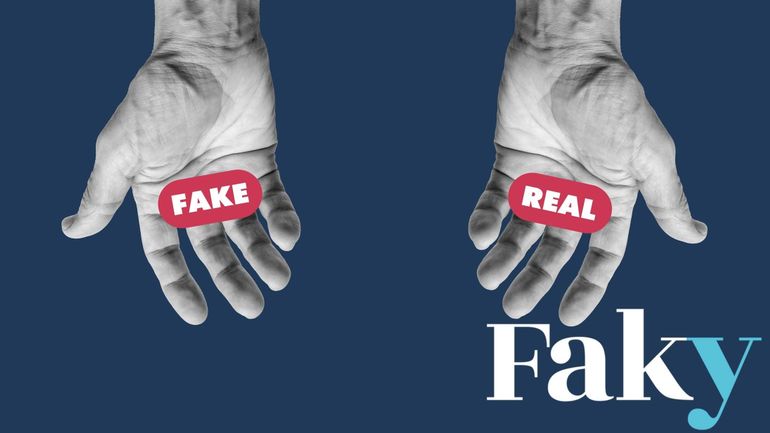 Fake ou pas fake ? Testez votre capacité à repérer les fausses infos avec ce quiz interactif