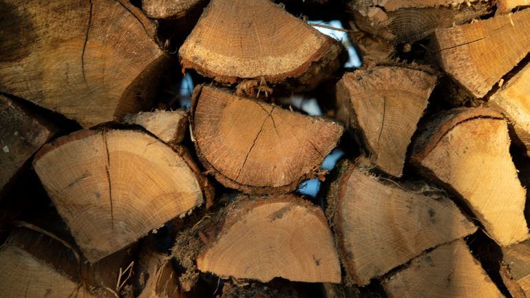 Prix de l'énergie : la demande en bois de chauffage continue, l'offre peut-elle suivre ?