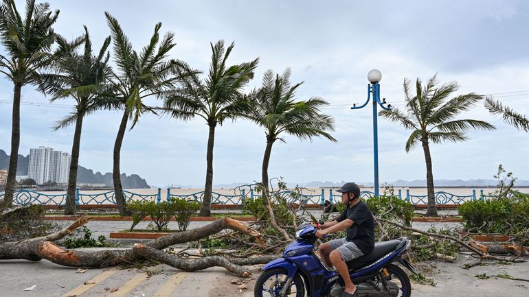 Le typhon Yagi rétrogradé, son bilan porté à plus de dix morts au Vietnam