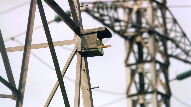 La Commission de Régulation de l'Électricité et du Gaz approuve les tarifs de transport d'électricité pour la période 2024-2027