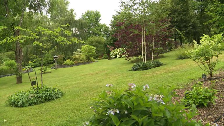 Visite d&apos;un jardin où l’on se sent toujours en vacances à Martouzin