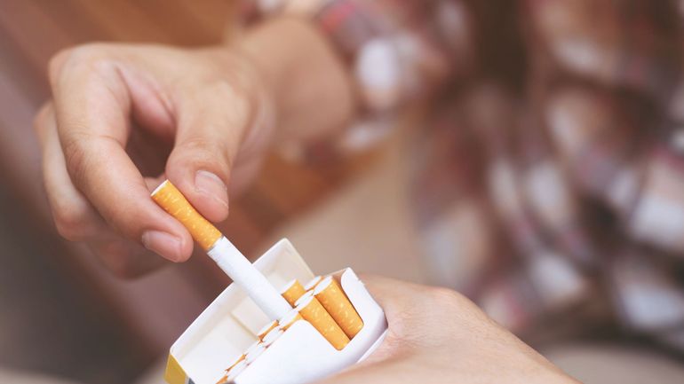 La douane saisit 13 millions de cigarettes de contrefaçon dans une usine de torréfaction en Flandre