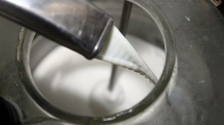 L'industrie laitière demande une politique à long terme pour une meilleure rentabilité du secteur