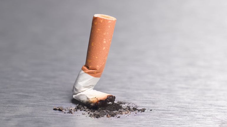 Le prix d'un paquet de cigarettes pourrait dépasser 40 euros aux Pays-Bas d'ici 2040