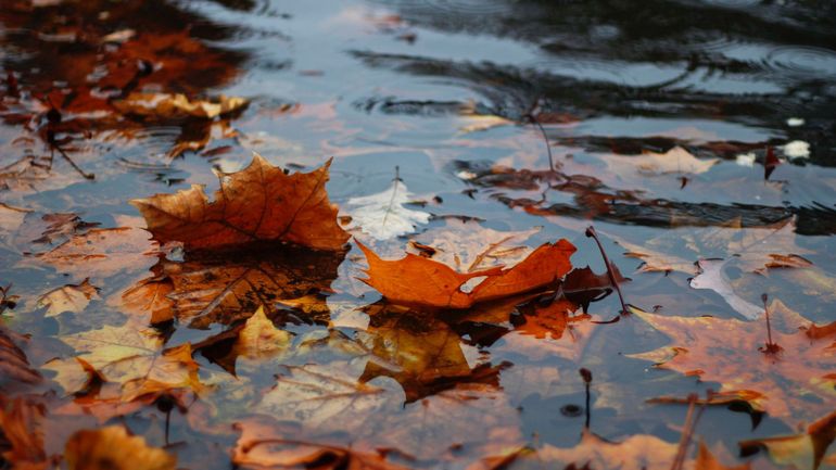 Tempête Malik : du vent, beaucoup de pluie, et de la neige s'abattront sur la Belgique ce lundi, avertit l'IRM