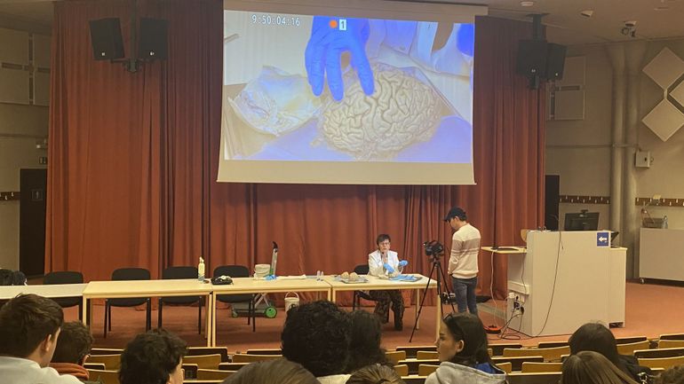 Semaine internationale du cerveau : des élèves du secondaire assistent à une dissection de cerveau humain à l'ULiège
