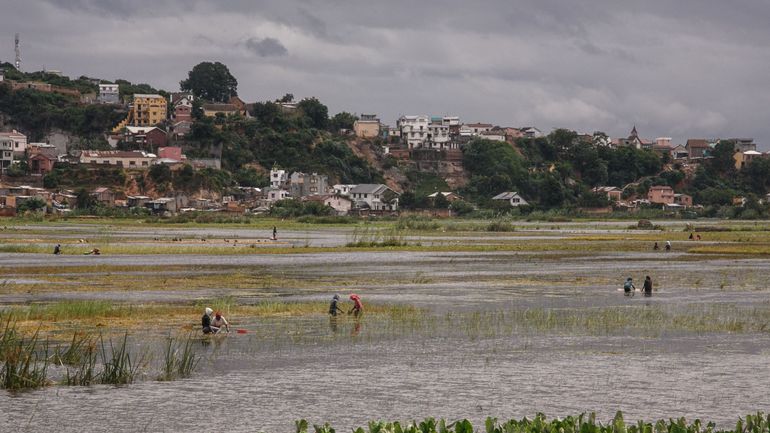 Cyclone Batsirai : 20 morts et des rizières dévastées à Madagascar