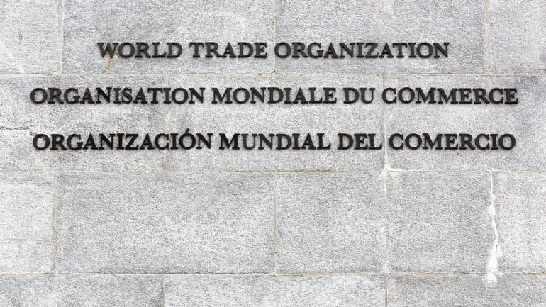 OMC : l'Union européenne et d'autres membres lancent une coalition sur le climat