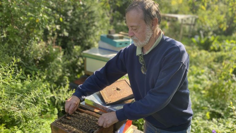 2021, une année à oublier pour les apiculteurs : la production de miel a chuté à cause du mauvais temps
