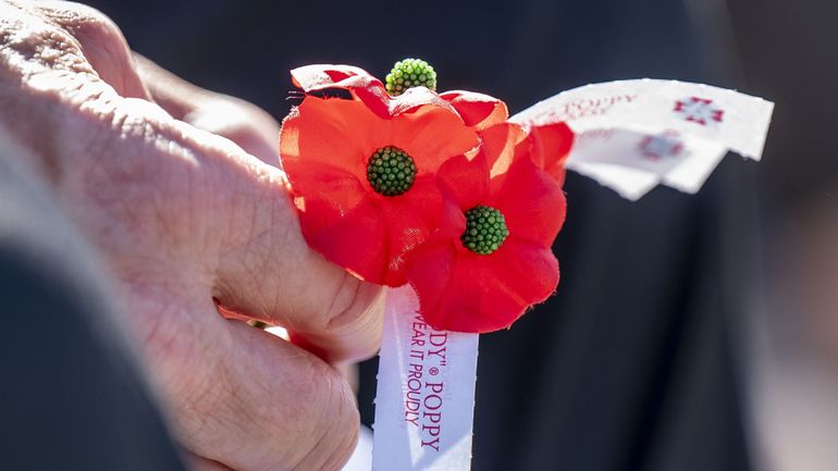 Armistice : le coquelicot, symbole du souvenir, divise la société britannique