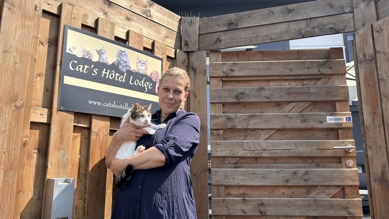 Pensions pour animaux : "Il faut réserver 8 mois à l'avance pour avoir une place durant l'été"